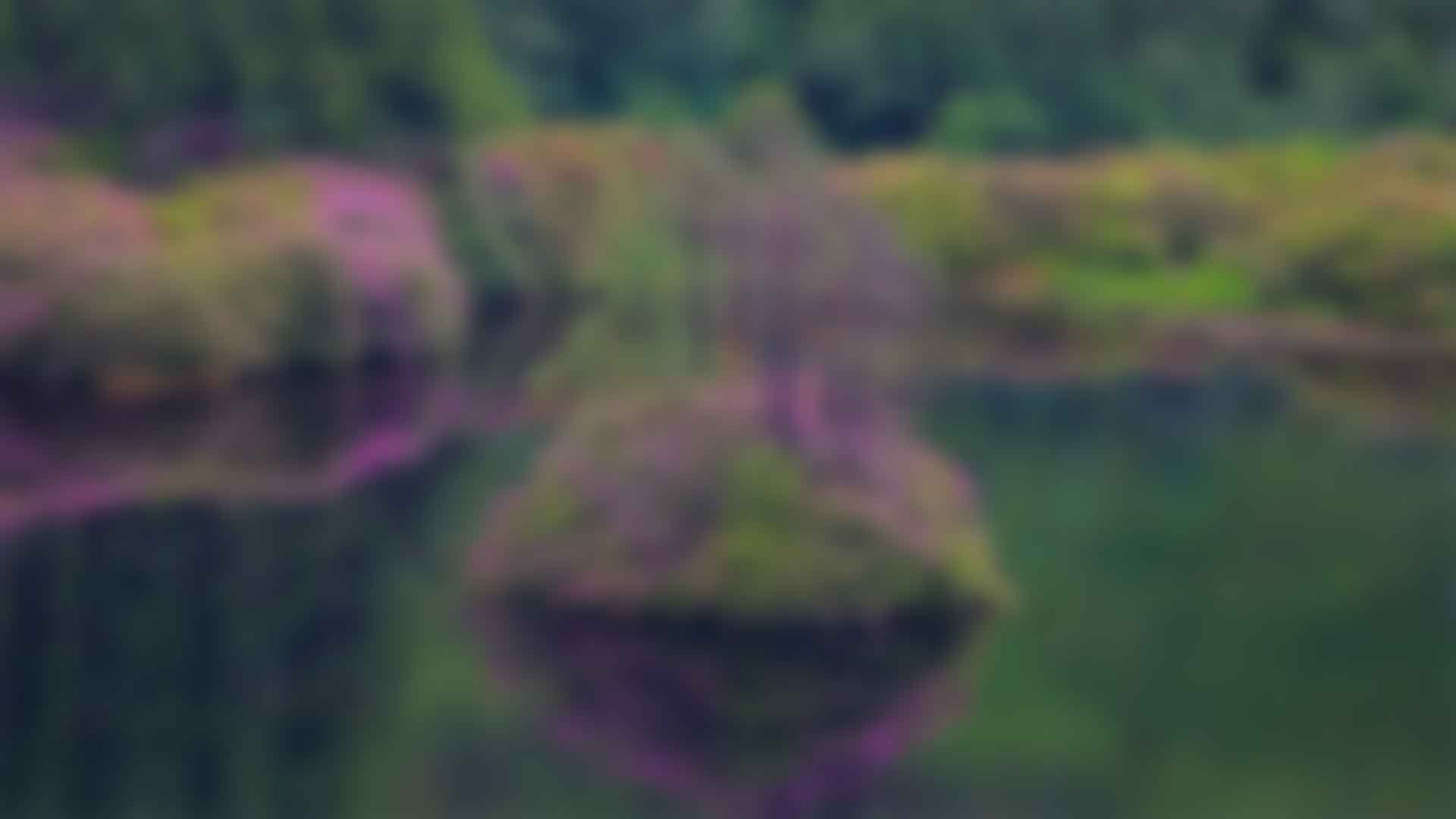 ӵʽ